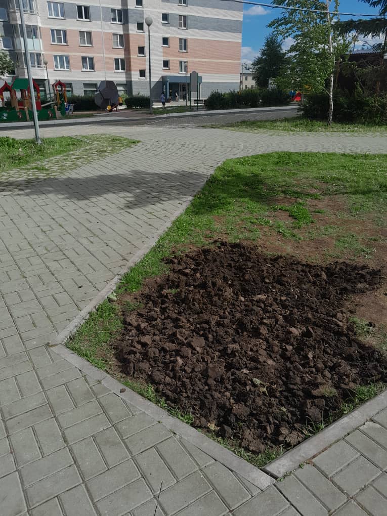 Изображение WhatsApp 2025-07-14 в 17.31.10_446eb323.jpg